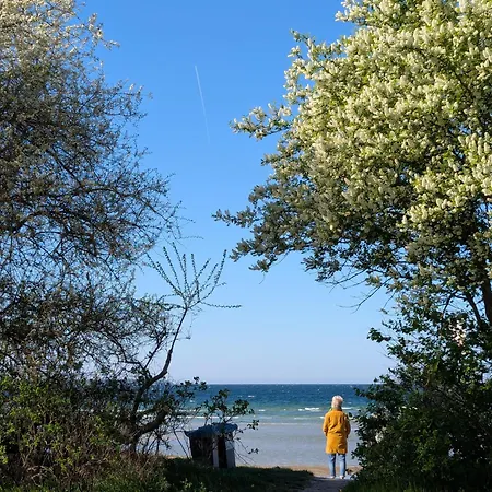 Oberdeck Ostsee Apartmán *
