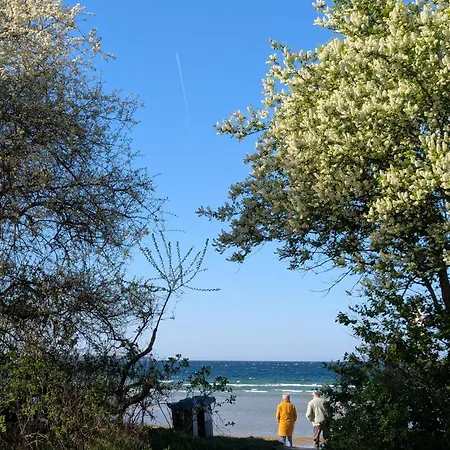 Oberdeck Ostsee