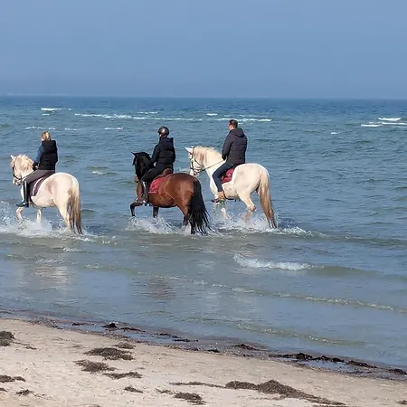Oberdeck Ostsee Apartamento Klutz