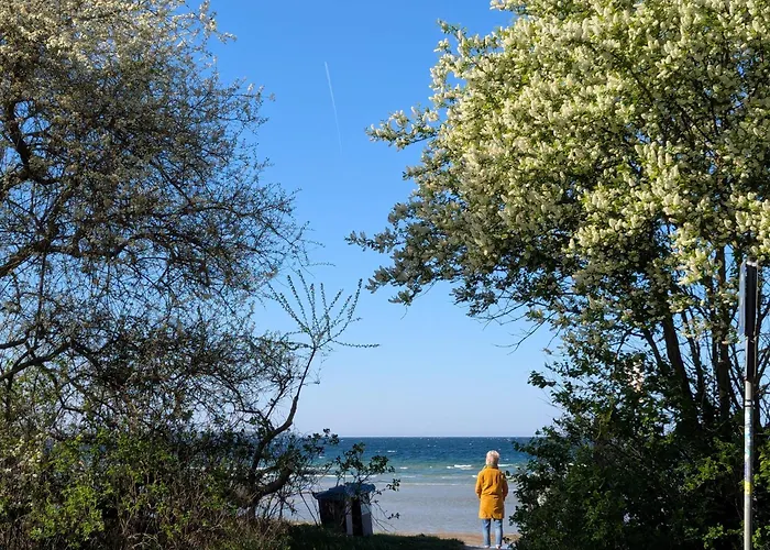 Oberdeck Ostsee Διαμέρισμα *