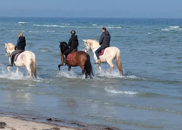 Oberdeck Ostsee Διαμέρισμα Klutz